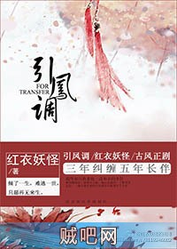 《引凤调》txt全集