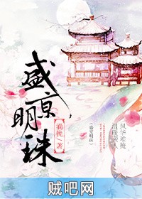 《盛京明珠》txt全集