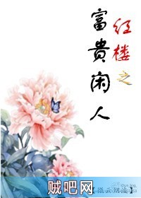 《红楼之富贵闲人》txt全集