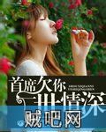 《深欢浅爱之千亿未婚妻》txt全集