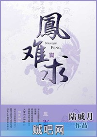 《凤难求》txt全集