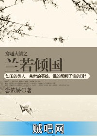 《穿越大清之兰若倾国》txt全集