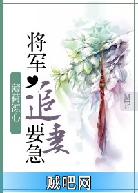 《将军，追妻要急》txt全集