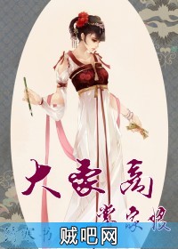 《大豪商，掌家娘》txt全集