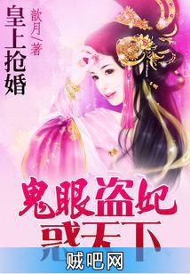 《皇上抢婚：鬼眼盗妃惑天下》txt全集