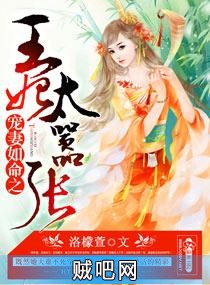 《宠妻如命之王妃太嚣张》txt全集