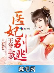 《王爷追妻医妃别逃》txt全集