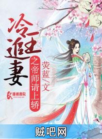 《冷王追妻之帝师请上轿》txt全集