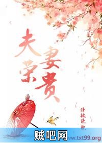 《夫荣妻贵》txt全集