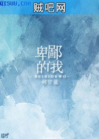 《卑鄙的我》txt全集