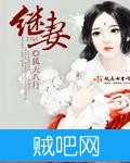 《继妻》txt全集