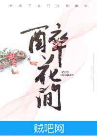 《醉花间》txt全集