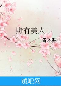 《野有美人》txt全集