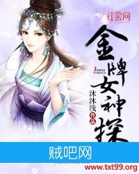 《金牌女神探》txt全集