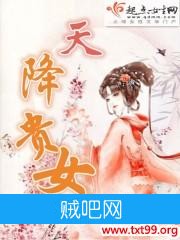 《天降贵女》txt全集