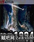 《降临1994》txt全集