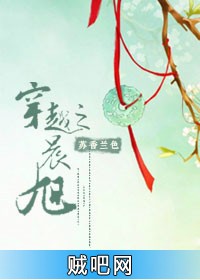 《穿越之晨旭》txt全集