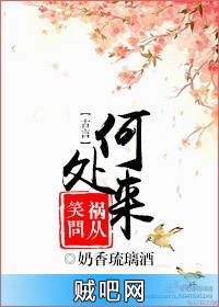 《笑问祸从何处来》txt全集