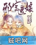 《邪宝医娘》txt全集