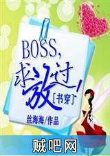 《BOSS,求放过》txt全集