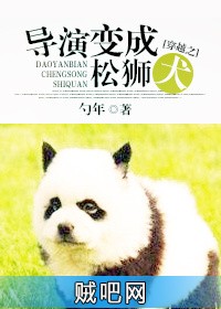 《穿越之导演变成松狮犬》txt全集