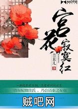 《宫花寂寞红》txt全集