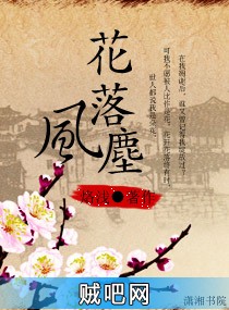 《花落风尘》txt全集