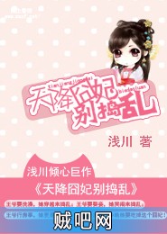 《天降囧妃别捣乱》txt全集