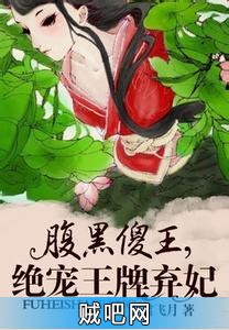 《腹黑傻王，绝爱王牌弃妃》txt全集