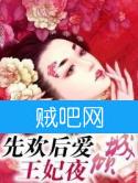 《先欢后爱之王妃夜倾城》全集