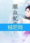 《顺淑妃传》全集