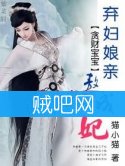 《贪财宝宝之弃妇娘亲熬成妃》全集