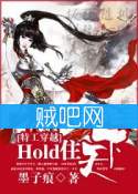 《hold住天下之特工穿越》全集