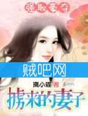 《强取豪夺：掳来的妻子》全集