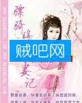 《骠骑将军追妻记》全集