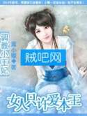 《独宠小猫妃：女人只许爱本王》全集(调教小王妃：女人只许爱本