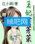 《王妃窦芽菜》全集