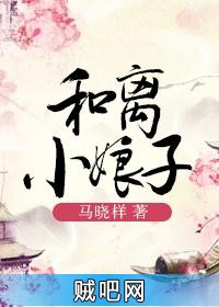 《和离小娘子》txt全集