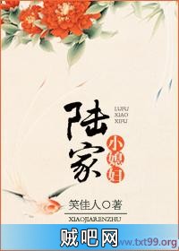 《陆家小媳妇》txt全集