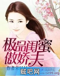 《极品闺蜜傲娇夫》txt全集