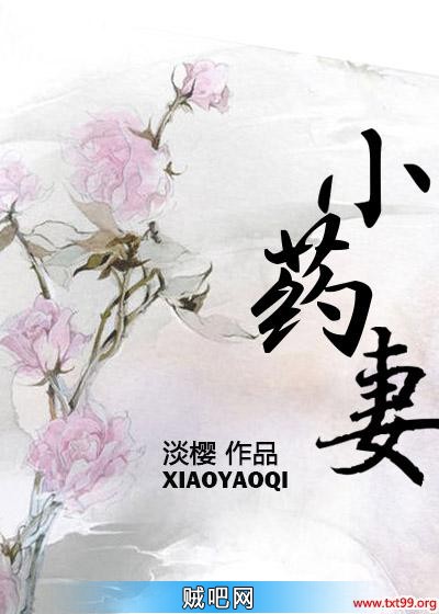 《小药妻》txt全集