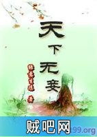 《天下无妾》txt全集