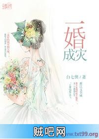 《一婚成灾》txt全集