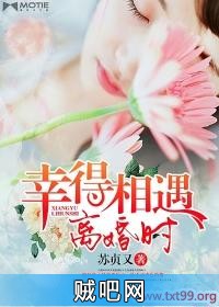 《幸得相遇离婚时》txt全集