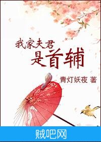 《我家夫君是首辅》txt全集