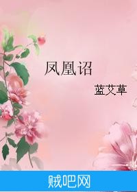 《凤凰诏》txt全集