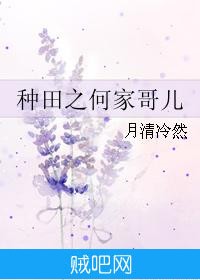 《种田之何家哥儿》txt全集