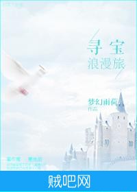 《重生之寻宝浪漫旅》txt全集