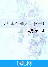 《放开那个渔夫让我来！》txt全集