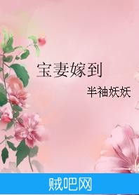 《宝妻嫁到》txt全集